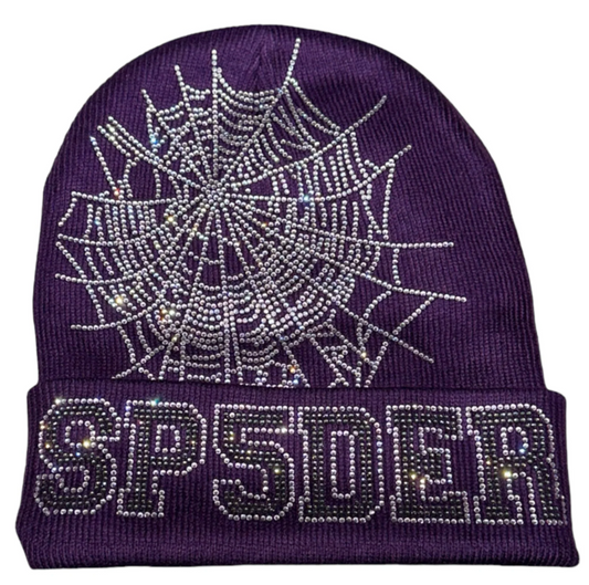 Sp5der Web Beanie Purple