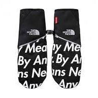 Supreme The North Face By Any Means Winter Runners Gloves Black